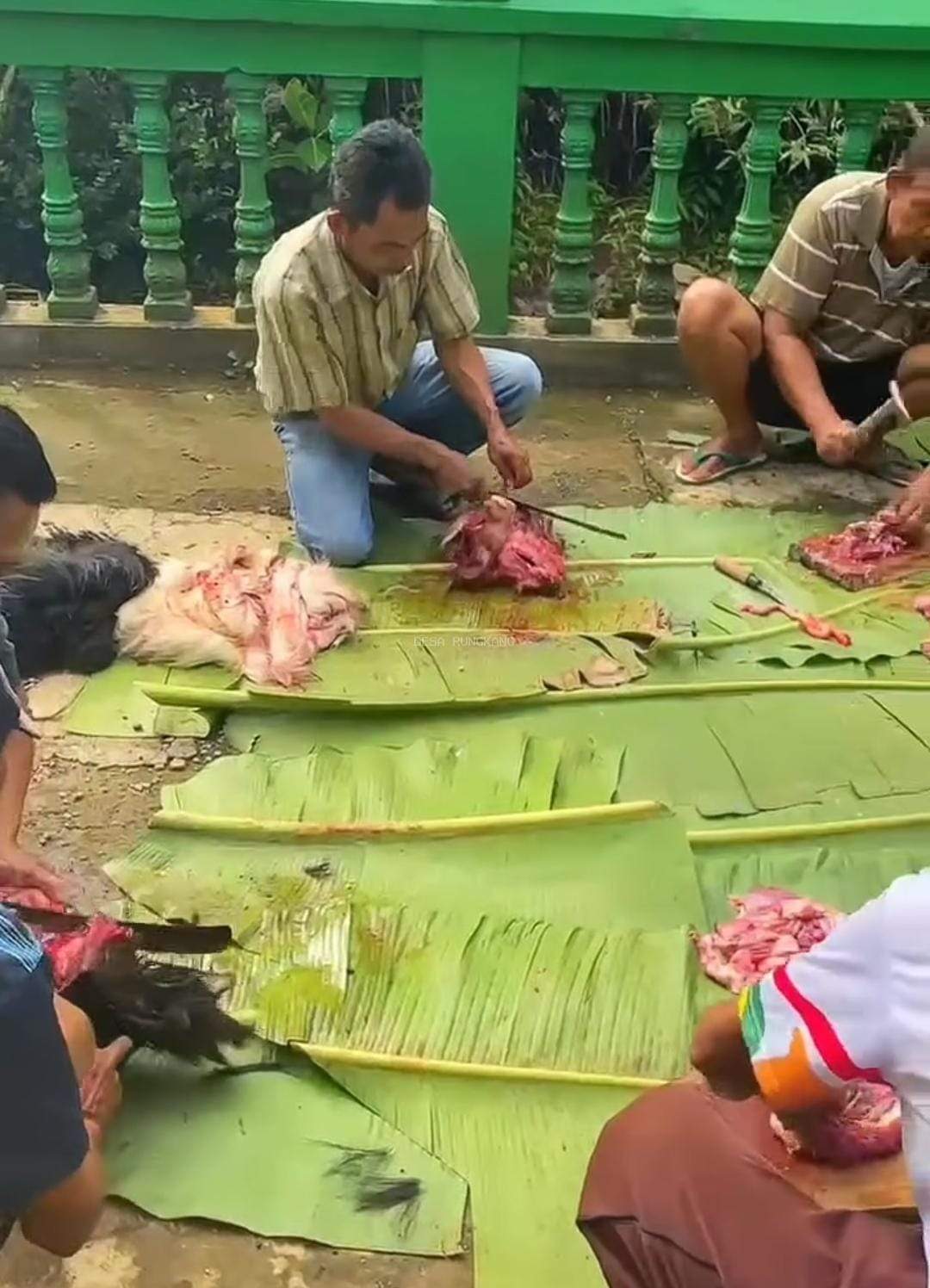 Kegiatan Idul Adha di Desa Rungkang tahun 2025